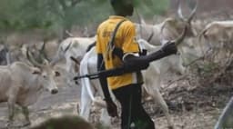 Four die as suspected herdsmen resume attacks in Enugu community